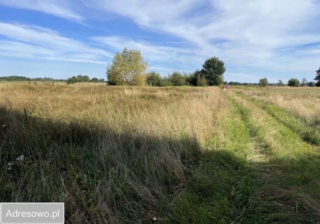 Działka rolna Prostyń