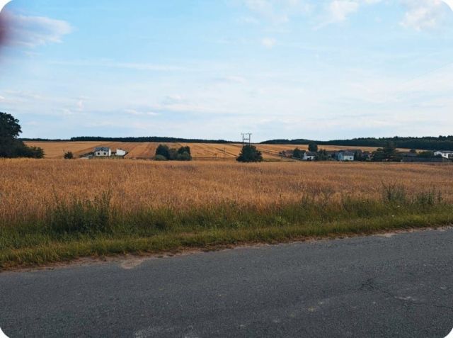 Działka budowlana Komorniki. Zdjęcie 1