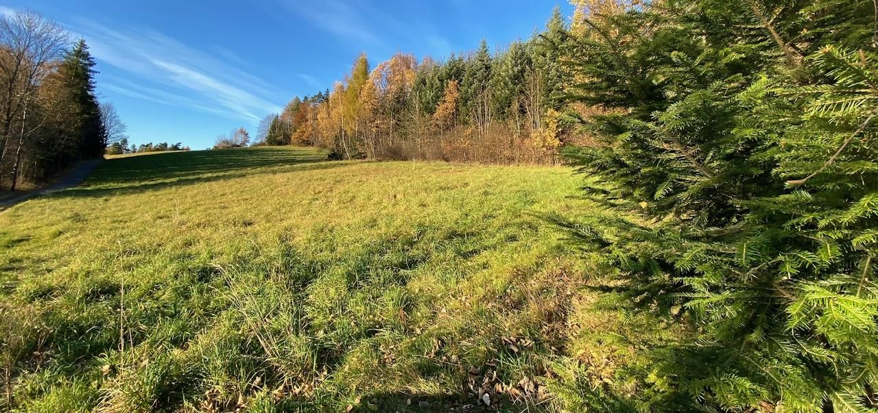 Działka budowlana Tokarnia. Zdjęcie 4