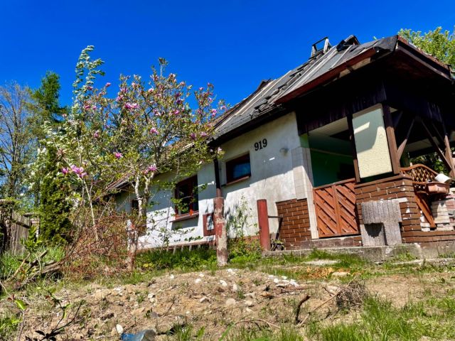 Działka budowlana Radziechowy. Zdjęcie 1