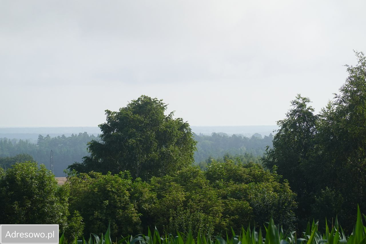Działka budowlana Starbienino. Zdjęcie 4