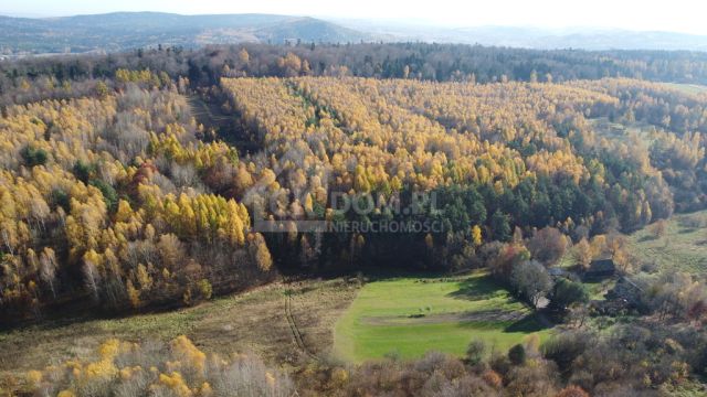 Działka rolna Cisów. Zdjęcie 2