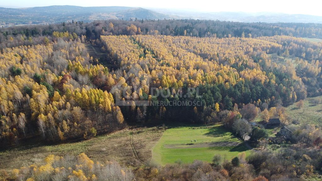 Działka rolna Cisów. Zdjęcie 2