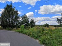 Działka budowlana Grabik, ul. Dębowa. Zdjęcie 2