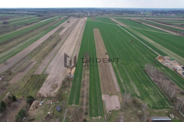 Działka budowlana Dąbrowice. Zdjęcie 14