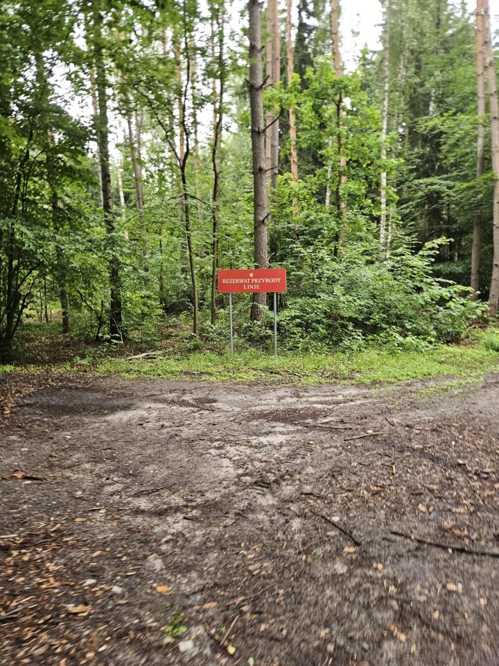 dom wolnostojący, 5 pokoi Dąbrowa Chełmińska Linie, ul. Linie. Zdjęcie 22