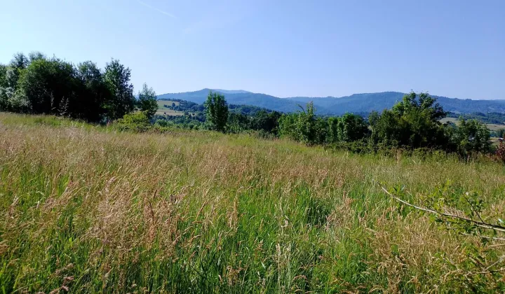 Działka rolna Wieprz