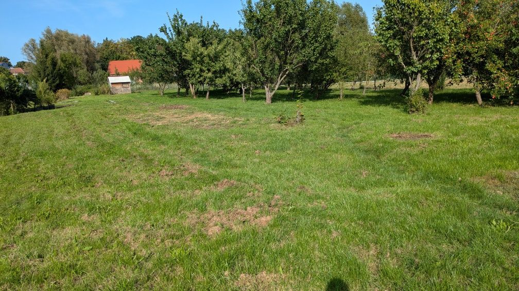 Działka budowlana Bojadła. Zdjęcie 8