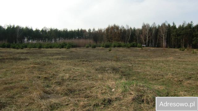 Działka rolno-budowlana Chojniczki. Zdjęcie 1