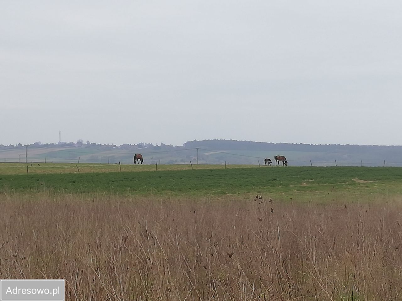 Działka budowlana Iwanowice Włościańskie, ul. Lawendowa. Zdjęcie 2