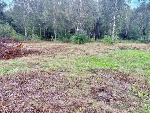 Działka budowlana Budziska. Zdjęcie 8