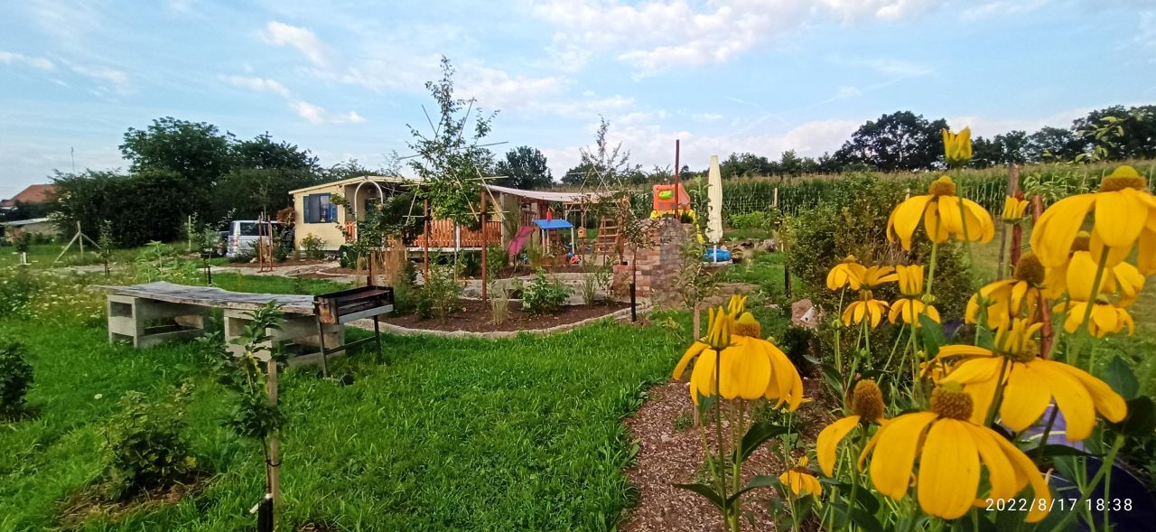 Działka siedliskowa Grodziszcze. Zdjęcie 20