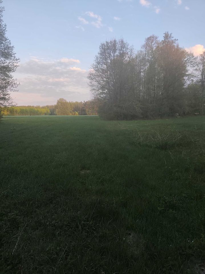 Działka budowlana Wrzeszczewice Nowe. Zdjęcie 5