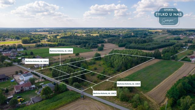 Działka budowlana Bechcice-Kolonia. Zdjęcie 1