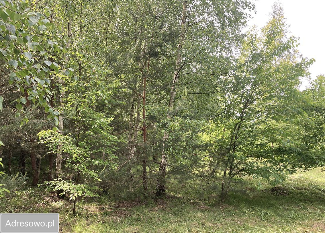 Działka budowlana Książenice. Zdjęcie 5