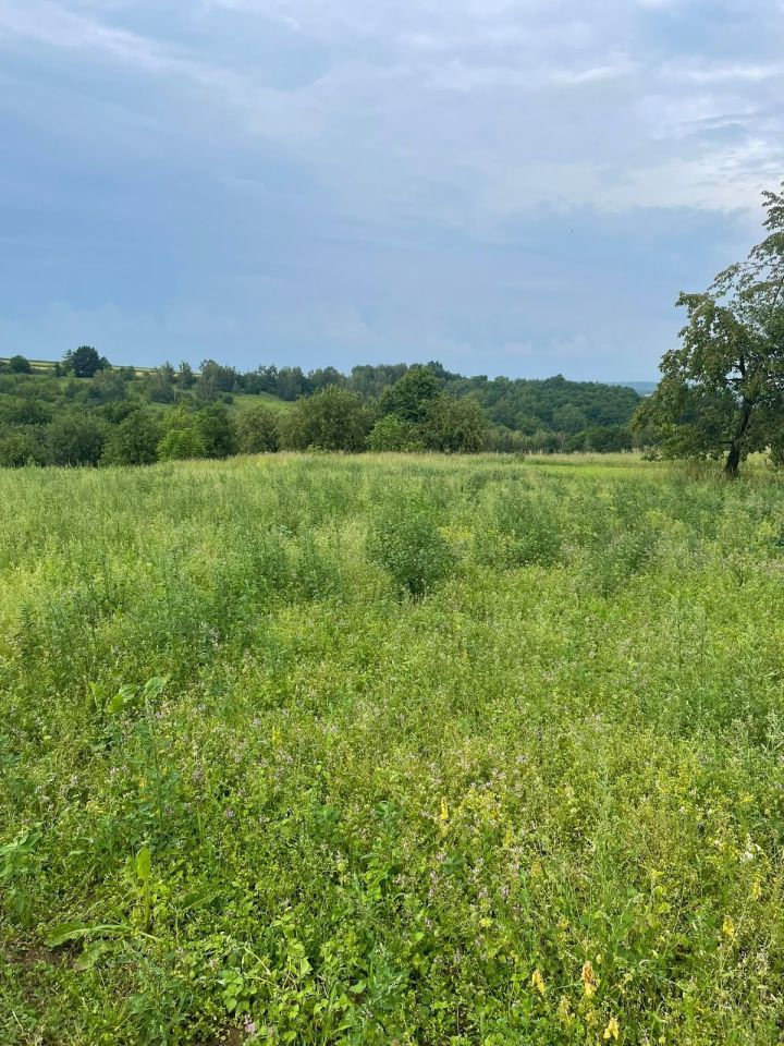 Działka rolno-budowlana Michałowice, ul. Warszawka. Zdjęcie 7