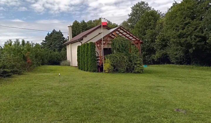 Działka rekreacyjna Wiktorowo
