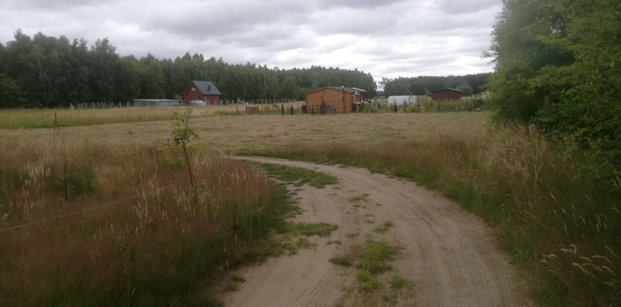 Działka rolno-budowlana Zasonie. Zdjęcie 4