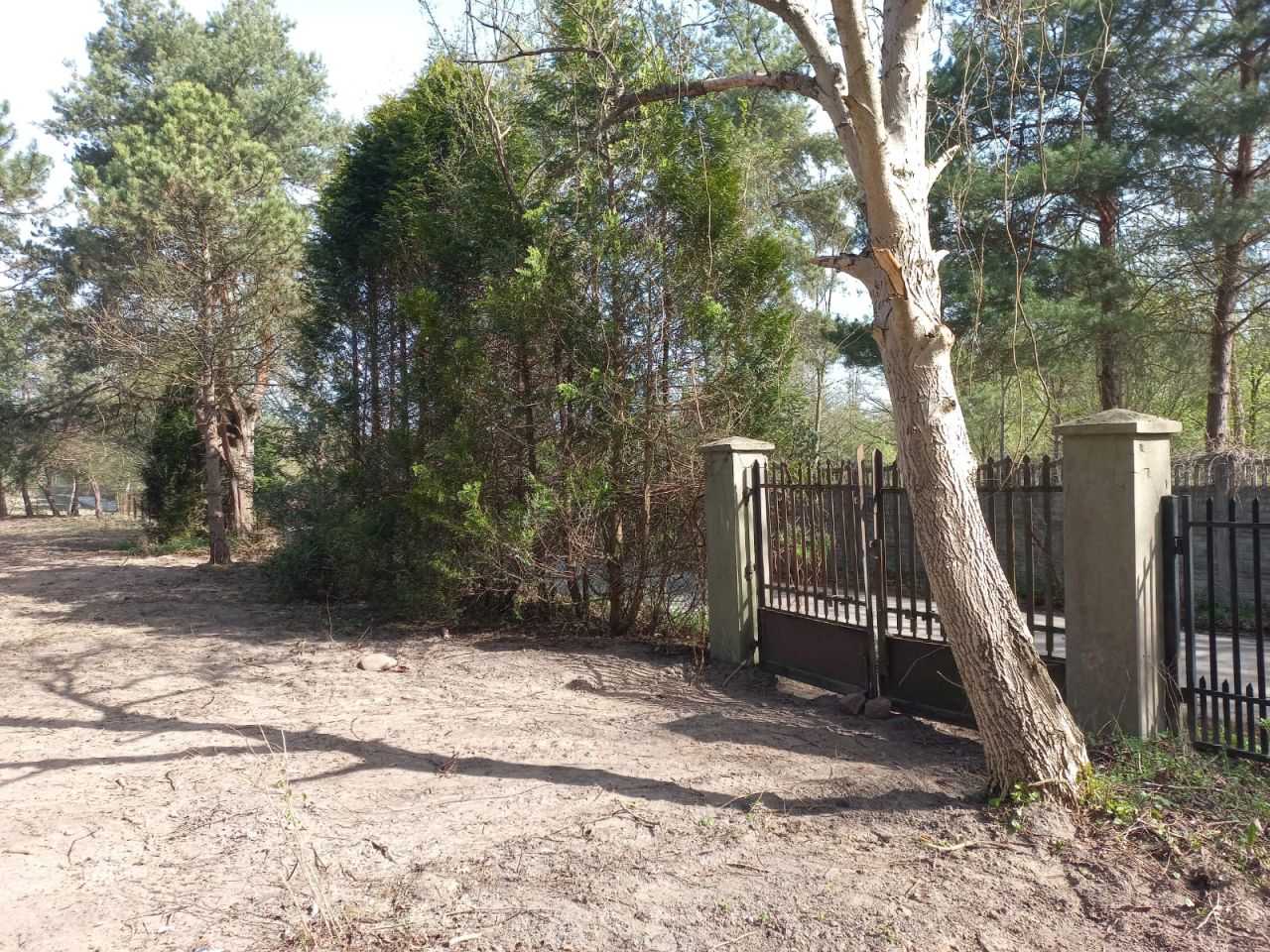 Działka budowlana Warszawa Ursynów, ul. Muchomora