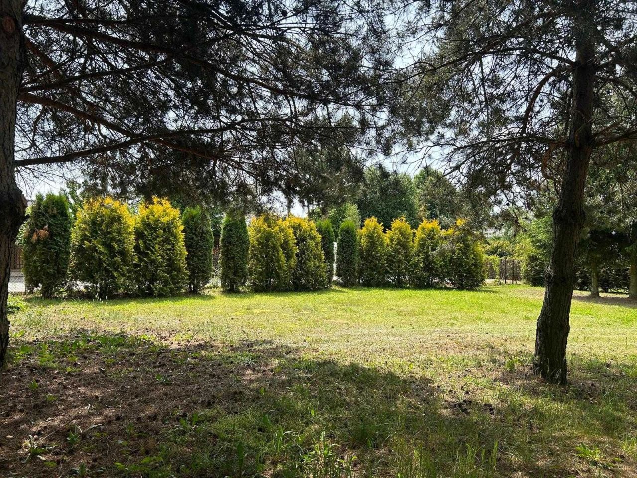 Działka budowlana Widowo. Zdjęcie 2