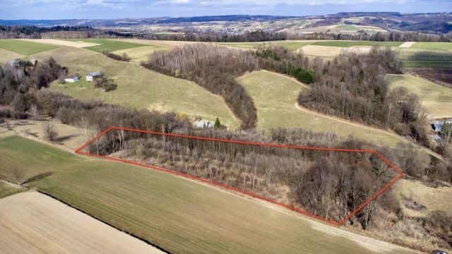 Działka budowlana Brzeziny. Zdjęcie 3