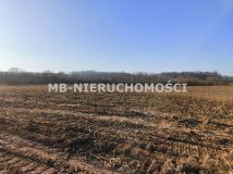 Działka rolna Grabnik. Zdjęcie 4