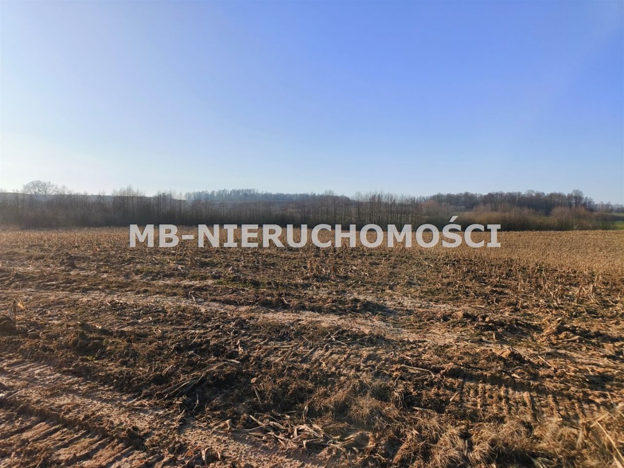 Działka rolna Grabnik. Zdjęcie 6