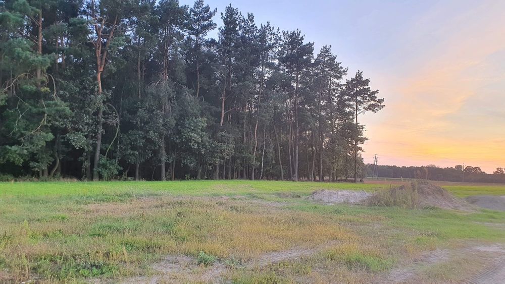 Działka inwestycyjna Budy Siennickie. Zdjęcie 2