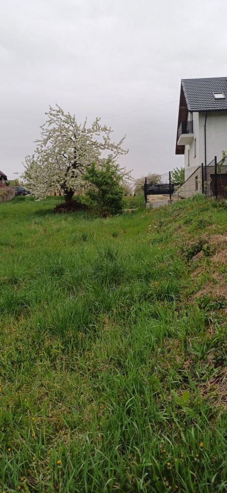 Działka budowlana Mikułowice. Zdjęcie 11