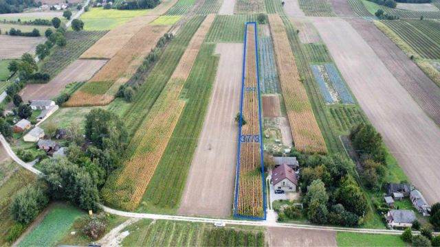 Działka rolno-budowlana Łopatki-Kolonia. Zdjęcie 1