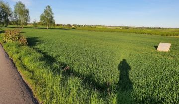 Działka budowlana Skrzynice-Kolonia