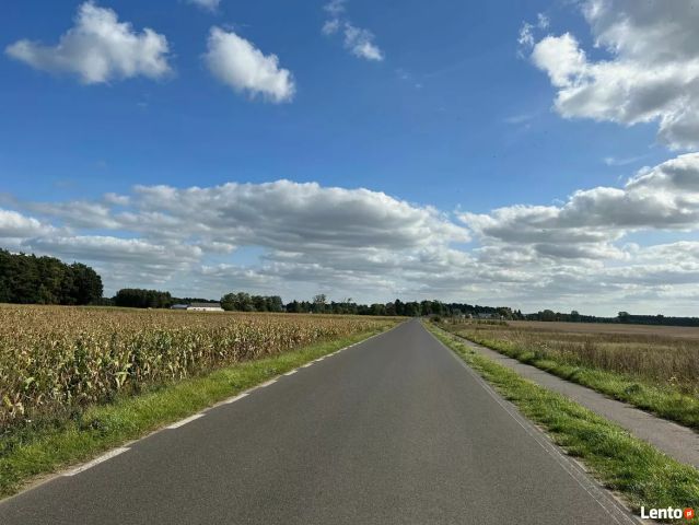 Działka rolna Sosnowo. Zdjęcie 1