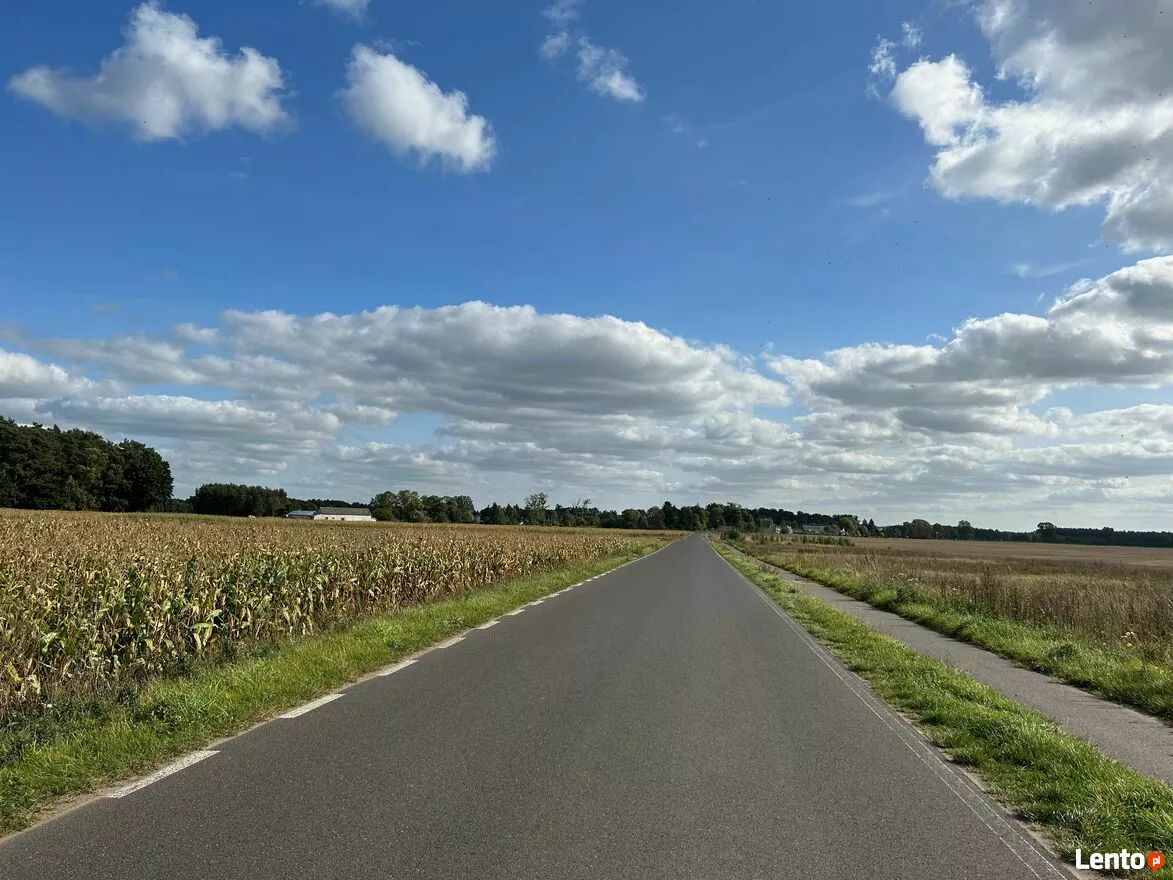 Działka rolna Sosnowo