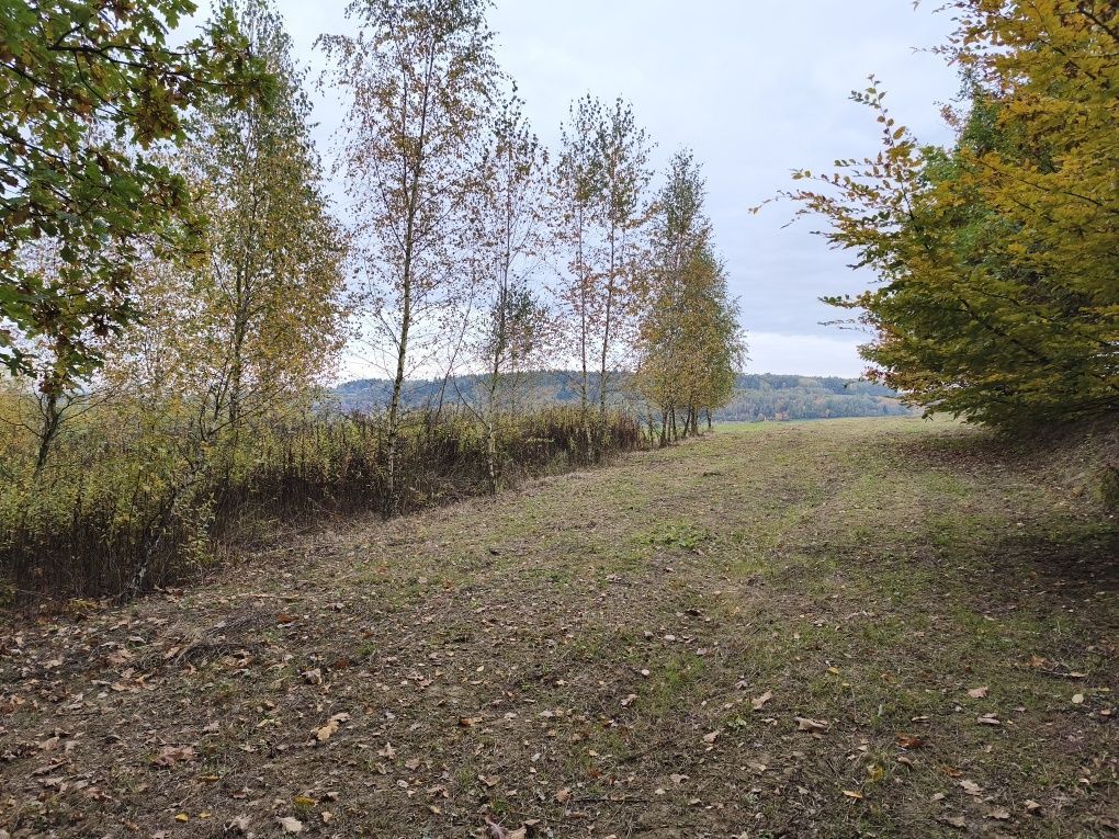 Działka rolna Jabłonica. Zdjęcie 3