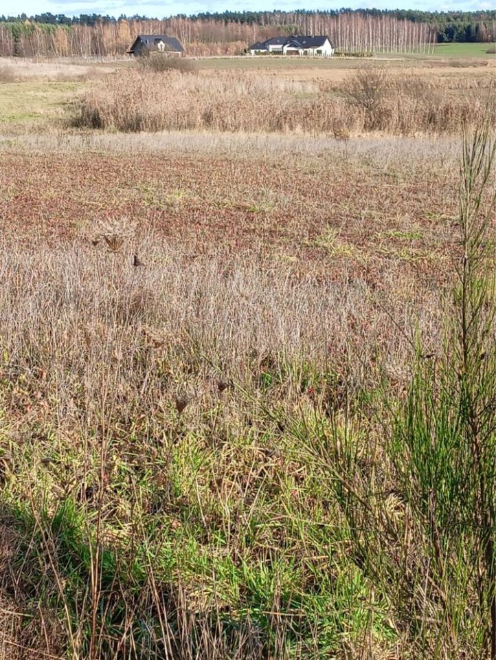 Działka budowlana Adamowo. Zdjęcie 4