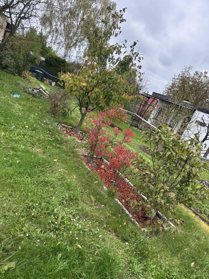 Działka rekreacyjna Rybnik Maroko-Nowiny, ul. Brzozowa. Zdjęcie 15