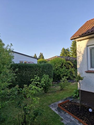 Działka rod Jagodowo osada leśna. Zdjęcie 1