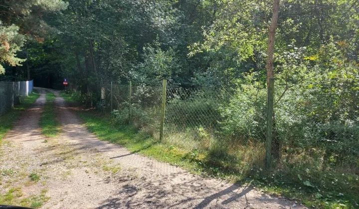 Działka leśna Świniotop