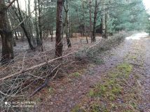 Działka rolna Bocheniec. Zdjęcie 2