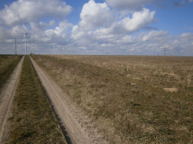 Nieruchomość komercyjna Złotów, Blękwit. Zdjęcie 4