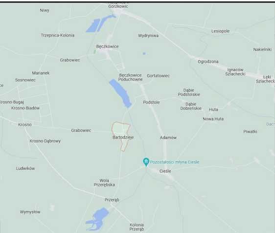 Działka rolna Bartodzieje. Zdjęcie 1