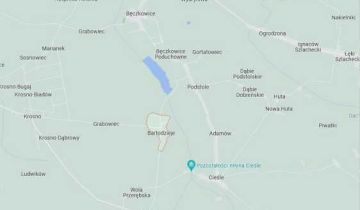 Działka rolna Bartodzieje