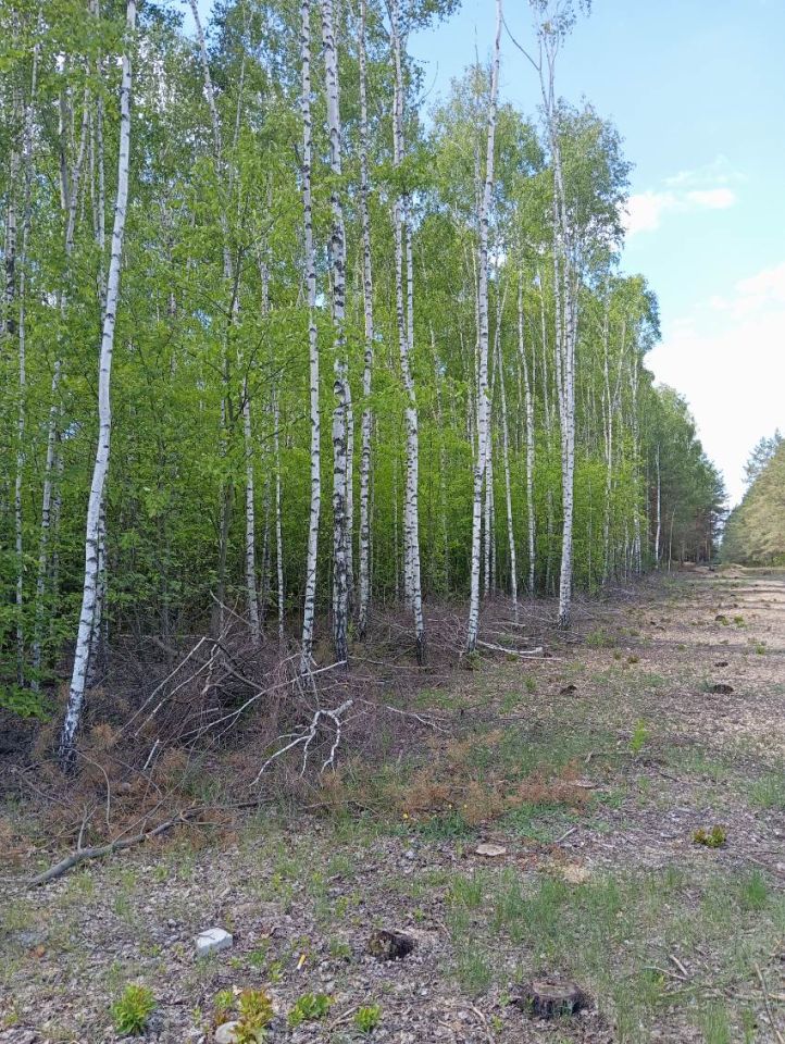 Działka budowlana Blochy. Zdjęcie 2