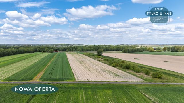 Działka rolna Przymiłów. Zdjęcie 4