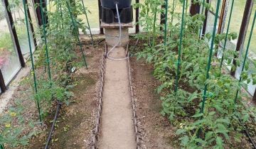 Działka rod Świdnica, ul. Komunalna