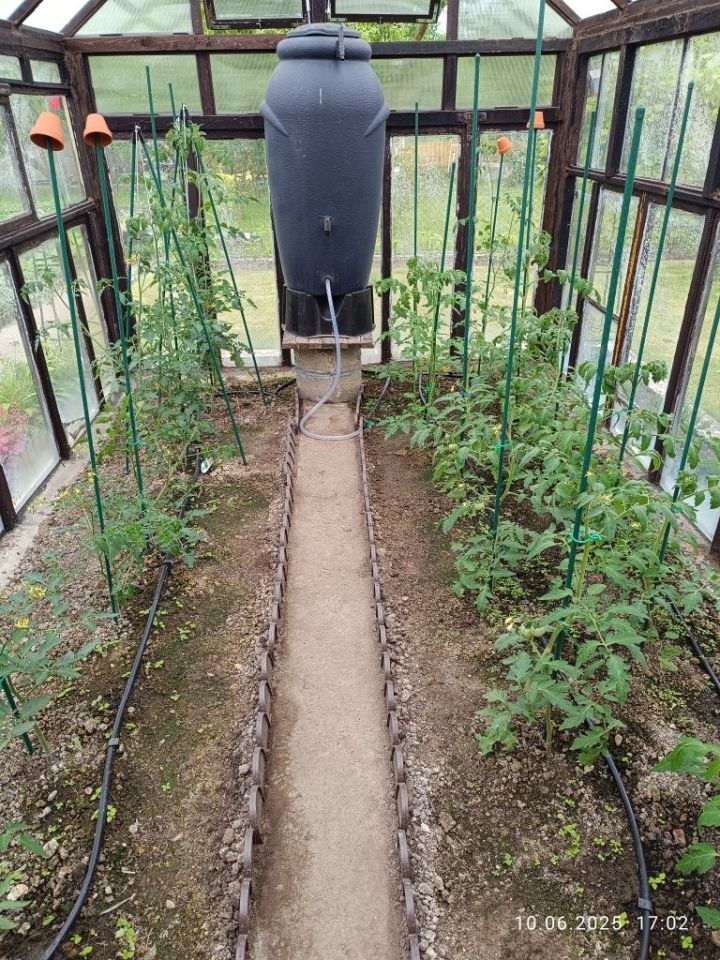 Działka rod Świdnica, ul. Komunalna. Zdjęcie 2