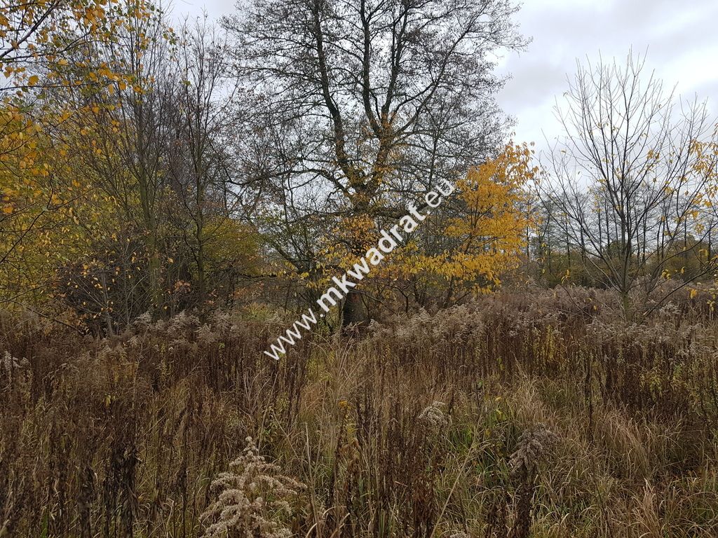 Działka budowlana Milanówek. Zdjęcie 9