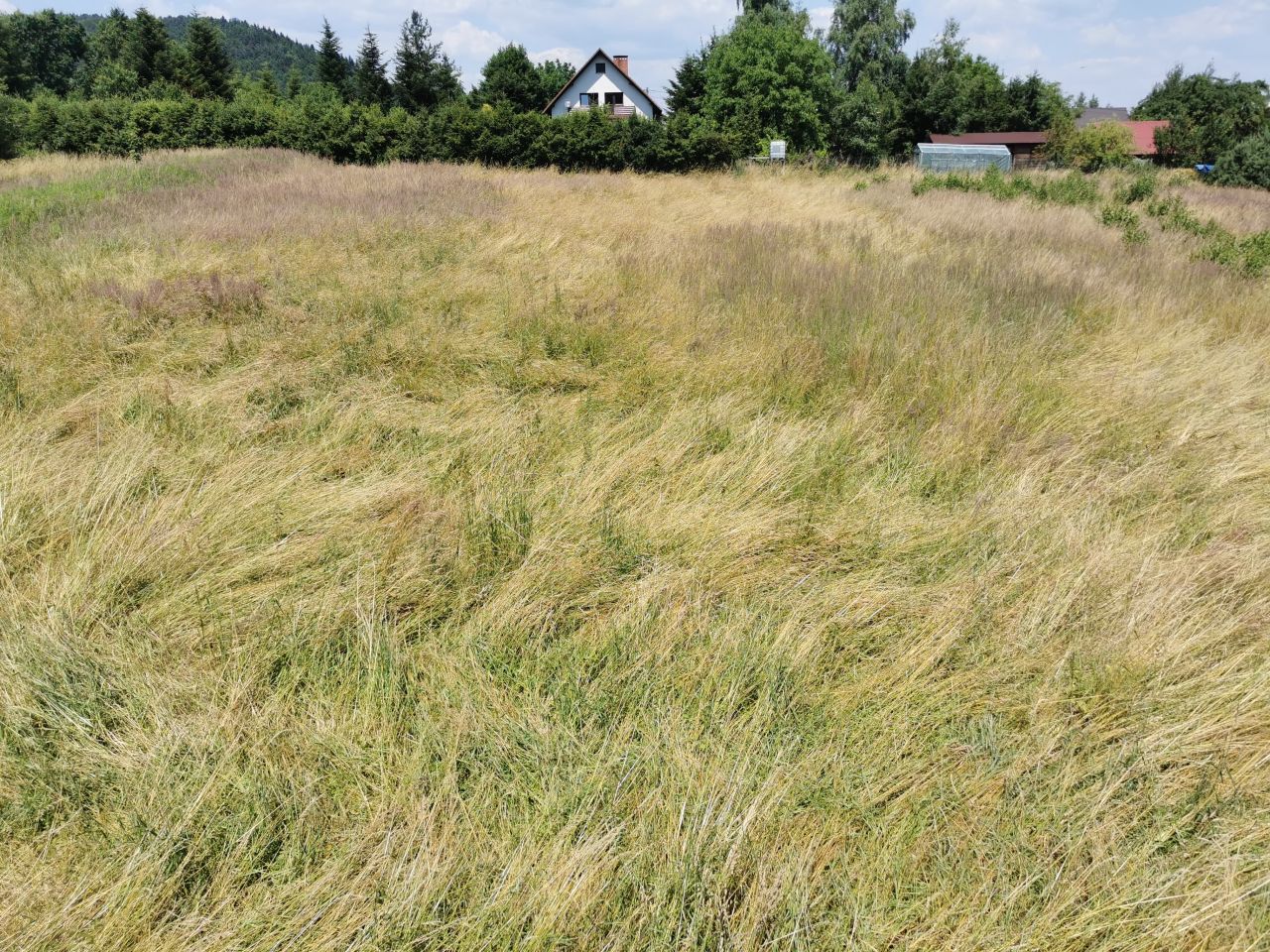 Działka budowlana Ponikiew Chobot. Zdjęcie 2
