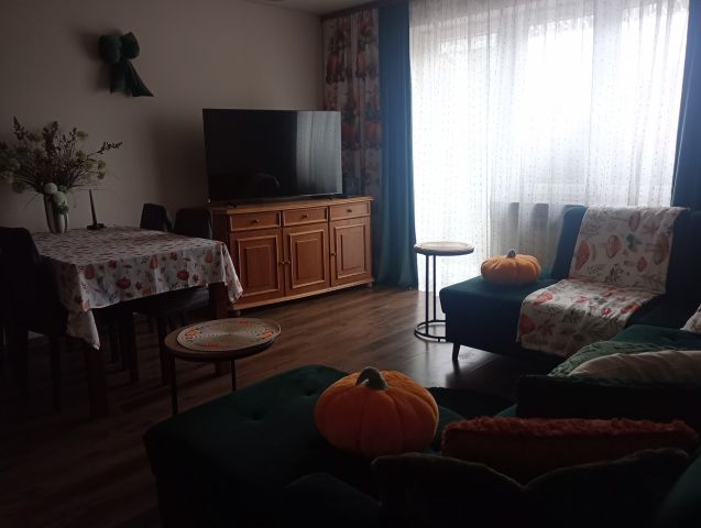 dom wolnostojący, 7 pokoi Rogowice. Zdjęcie 3