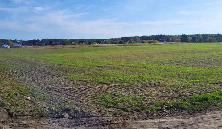 Działka budowlana Zduny, ul. Zacisze